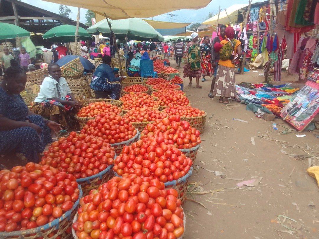 Baskets of tomatoes lining a trading aisle at Ngaramtoni farmers market